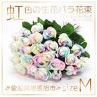 生花 レインボーローズ 花束 ピュアパステル Mサイズ : 愛知県尾張旭市 30本