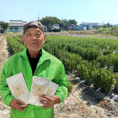 ステビアティーパック(2g×20包)+ステビア乾燥茶葉(50g)