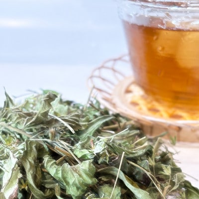 ステビアティーパック(2g×20包)+ステビア乾燥茶葉(50g)