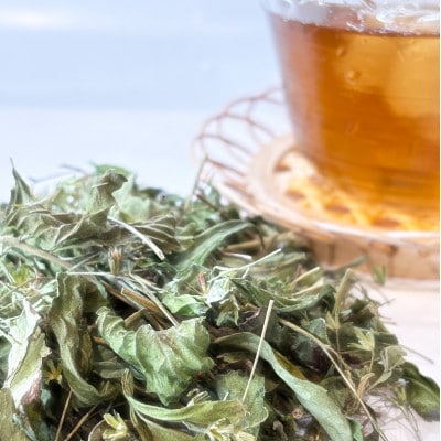 ステビアティーバッグ(2g×20個)