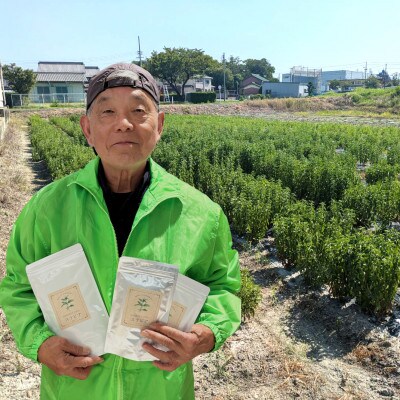 ステビア乾燥茶葉(100g)