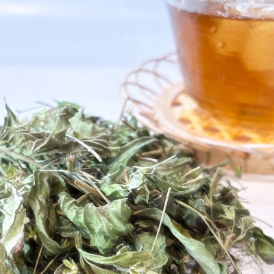 ステビア乾燥茶葉(100g)