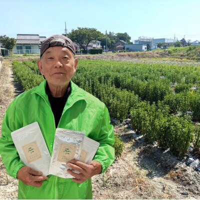 ステビアティーパック(2g×20包)+ステビア乾燥茶葉(100g)