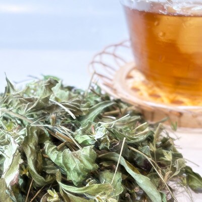 ステビアティーパック(2g×20包)+ステビア乾燥茶葉(100g)