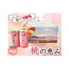 「福島桃の恵み」40本　果汁100%ジュース / モモジュース ストレート もも 福島