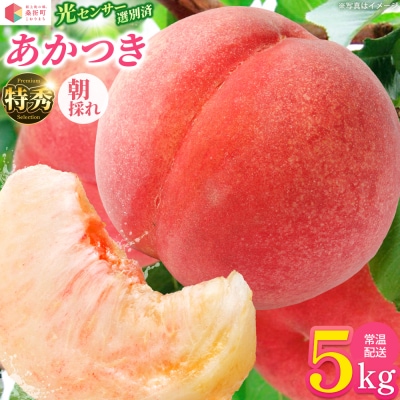もも【あかつき・2027年産先行受付】特秀約5kg「献上桃の郷ブランド品」桑折町産　JAふくしま未来