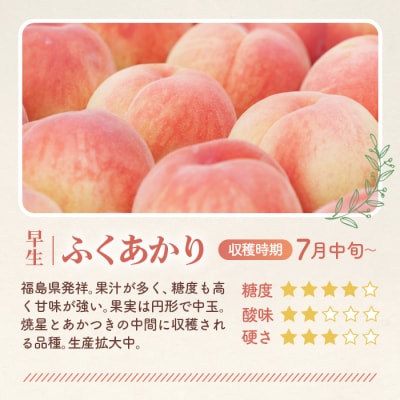 もも【ふくあかり・2026年産先行受付】特秀　5kg　桑折町産　JAふくしま未来　桃