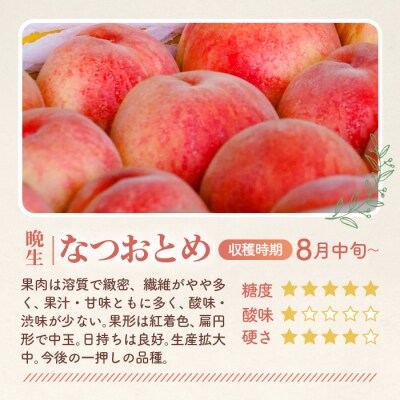 もも【なつおとめ・2026年産先行受付】特秀　5kg　桑折町産　JAふくしま未来　桃
