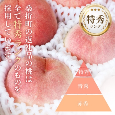 もも【さくら白桃・2026年産先行受付】特秀　3kg　桑折町産　JAふくしま未来　桃
