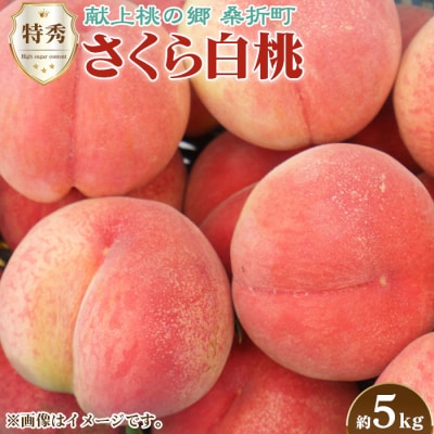 �����y�����甒���E2026�N�Y��s��t�z���G�@5kg�@�K�ܒ��Y�@JA�ӂ����ܖ����@��