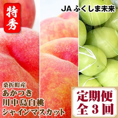 �y�ߘa8�N7���`9���������z�K�ܒ�����2�i��E�V���C���}�X�J�b�g�����