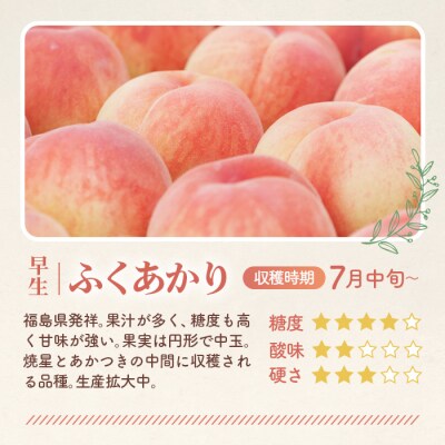 もも【ふくあかり・2026年産先行受付】特秀　3kg　桑折町産　JAふくしま未来　桃