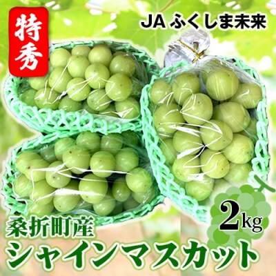 【令和8年9月頃発送】ぶどう(シャインマスカット)特秀2kg　桑折町産　JAふくしま未来　葡萄