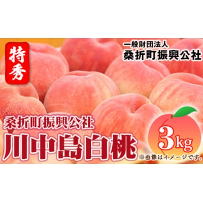 もも【川中島白桃・2026年産先行受付】特秀3kg(8玉～11玉)桑折町振興公社