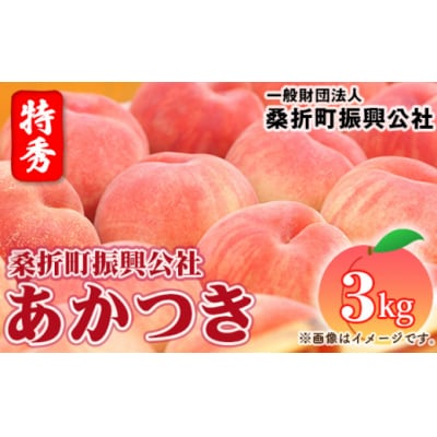 もも【あかつき・2026年産先行受付】特秀3kg(9玉～11玉)桑折町振興公社