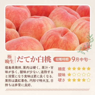 もも【だてか白桃・2026年産先行受付】特秀3kg(8～11玉)桑折町振興公社　桃