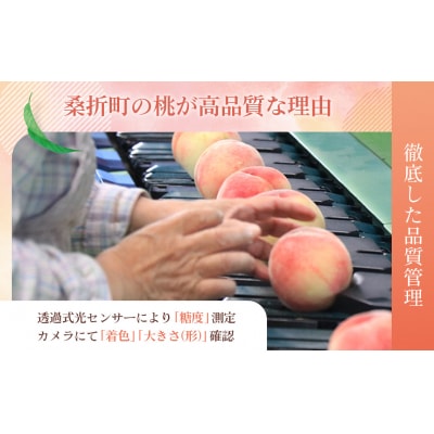 もも【あかつき・2026年産先行受付】特秀1.2kg「献上桃の郷ブランド品」桑折町産　JAふくしま未