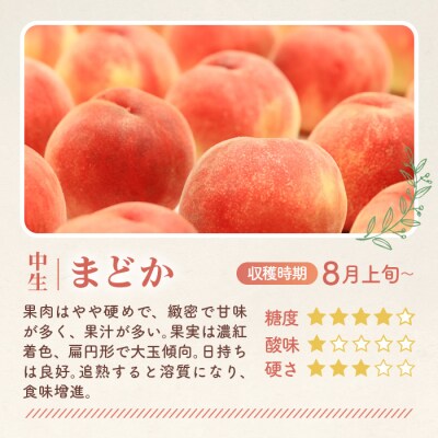 もも【まどか・2026年産先行受付】特秀1.2kg　桑折町産　JAふくしま未来　桃