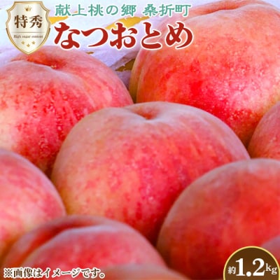 もも【なつおとめ・2026年産先行受付】特秀1.2kg　桑折町産　JAふくしま未来　桃