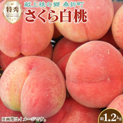もも【さくら白桃・2026年産先行受付】特秀1.2kg　桑折町産　JAふくしま未来　桃