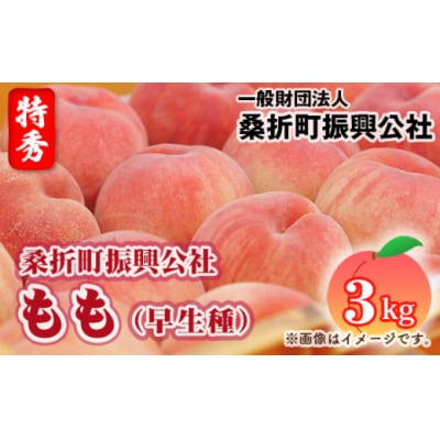 もも【早生種・2026年産先行受付】特秀品3kg(10～12玉)桑折町振興公社