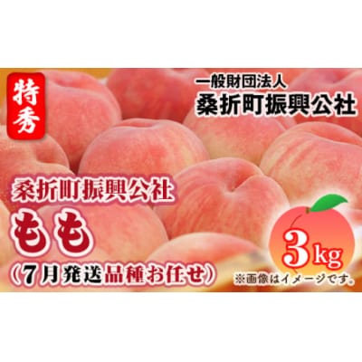 もも【2026年産7月発送/品種おまかせ/先行受付】特秀品3kg(8～11玉)桑折町振興公社