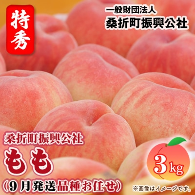 もも【2026年産9月発送/品種おまかせ/先行受付】特秀3kg(8～11玉)桑折町振興公社