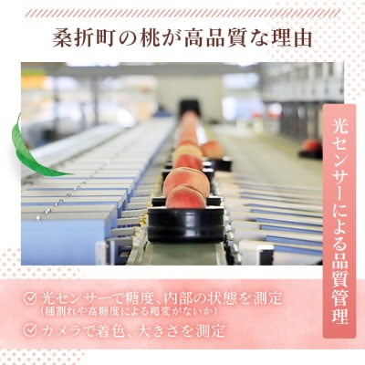 もも【2026年産9月発送/品種おまかせ/先行受付】特秀3kg(8～11玉)桑折町振興公社