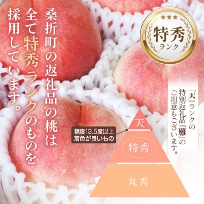 もも【2026年産9月発送/品種おまかせ/先行受付】特秀3kg(8～11玉)桑折町振興公社