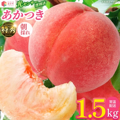 もも【あかつき・2027年産先行受付】特秀1.5kg「献上桃の郷ブランド品」桑折町産　JAふくしま未