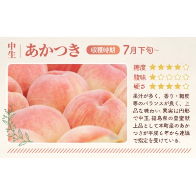 もも【あかつき・2026年産先行受付】特秀1.5kg「献上桃の郷ブランド品」桑折町産　JAふくしま未