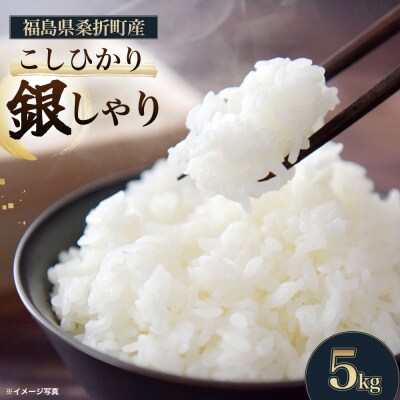 福島県桑折町産こしひかり「銀しゃり」　5kg