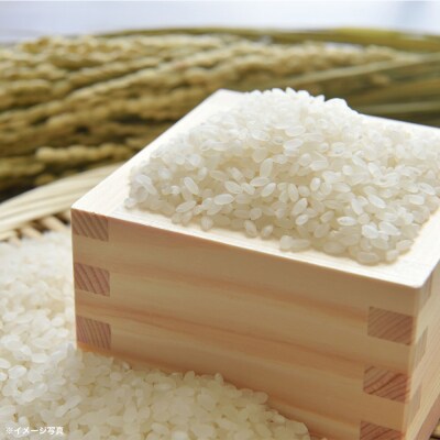 福島県桑折町産こしひかり「銀しゃり」　5kg