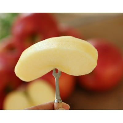 【長野県産】りんご(シナノスイート)約5kg 秀品