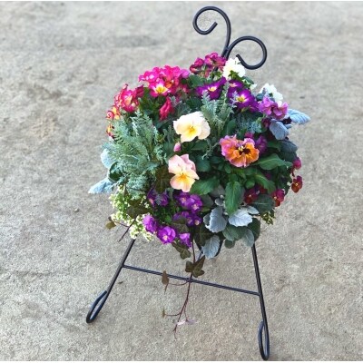 柴田農園 季節の花のハンギングバスケット寄せ植え スタンド付き 高島屋選定品 お礼品詳細 ふるさと納税なら さとふる