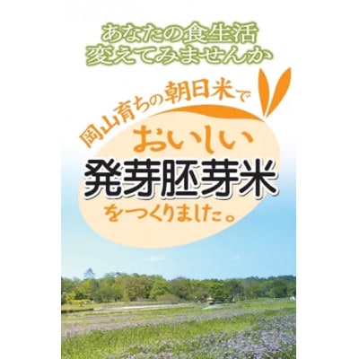 おいしい発芽胚芽米 5kg(1kg×5袋)
