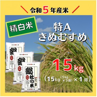 令和6年10月より配送〕【令和5年産米】特Aきぬむすめ【精白米】15kg