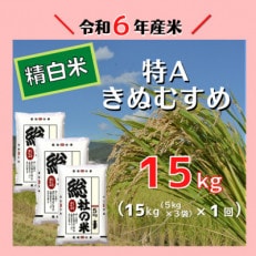 〔令和6年11月より発送〕【令和6年産米】特Aきぬむすめ【精白米】15kg