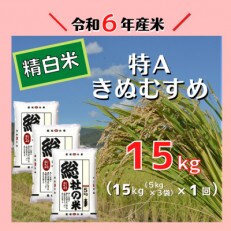 〔令和6年12月より発送〕【令和6年産米】特Aきぬむすめ【精白米】15kg