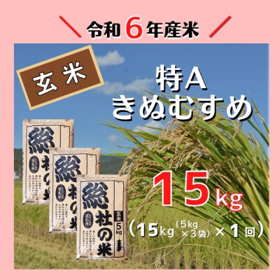 〔令和7年5月より発送〕【令和6年産米】特Aきぬむすめ【玄米】15kg