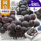 岡山県産　ニューピオーネ4房(1房480g以上・合計約2kg)
