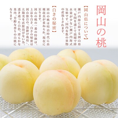 岡山県産　詰合せ/白桃とニューピオーネ　化粧箱入り