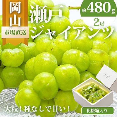 岡山県産　瀬戸ジャイアンツ2房　(1房480g以上)合計約1㎏　化粧箱入り