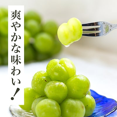岡山県産　瀬戸ジャイアンツ2房　(1房480g以上)合計約1㎏　化粧箱入り