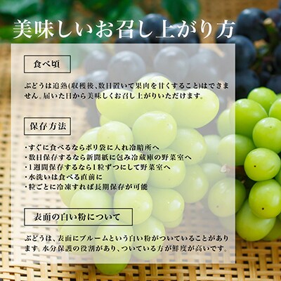 岡山県産　シャインマスカット『晴王』4房(1房480g以上・合計約2kg)　