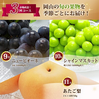 【発送月固定定期便】岡山県産 フルーツ定期便A全3回