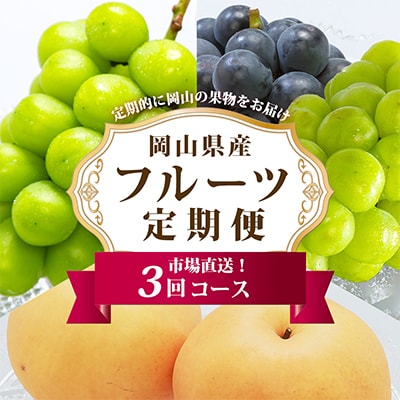 【発送月固定定期便】岡山県産 フルーツ定期便B全3回