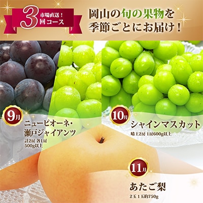 【発送月固定定期便】岡山県産 フルーツ定期便B全3回