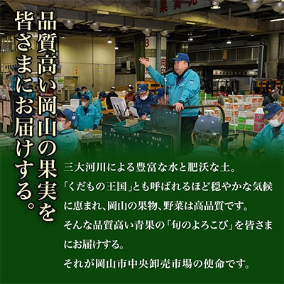 【発送月固定定期便】岡山県産 フルーツ定期便全4回