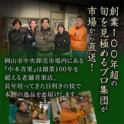 【発送月固定定期便】岡山県産 フルーツ定期便全4回